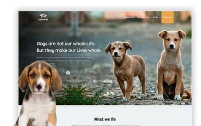 Pet website template
