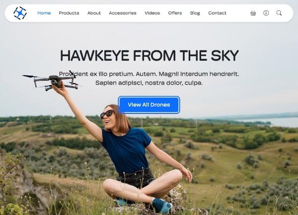 Canvas demo layout